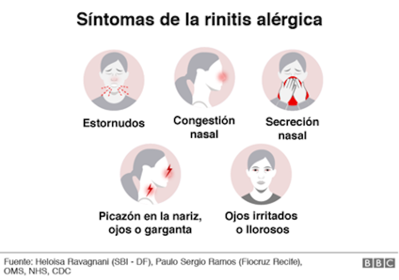Síntomas de rinitis alérgica - Imágenes BBC